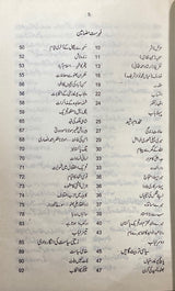 Urdu Haa Mei Baaghi Ho