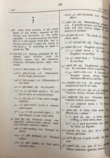 Urdu English Dictionary (Feroz)