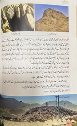 Urdu Sirat Encyclopedia (11 Volume Set)