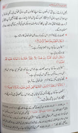 Urdu Sirate Nabawi (2 Vol)(DS)