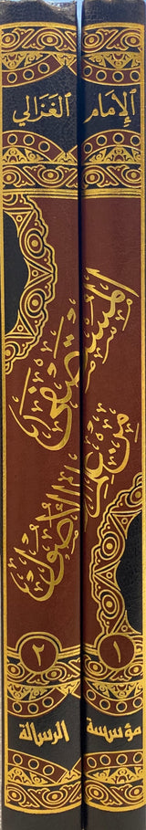 المستصفى من علم الاصول     Al Mustasfa Min Ilm Al Usul (2 Volume Set)