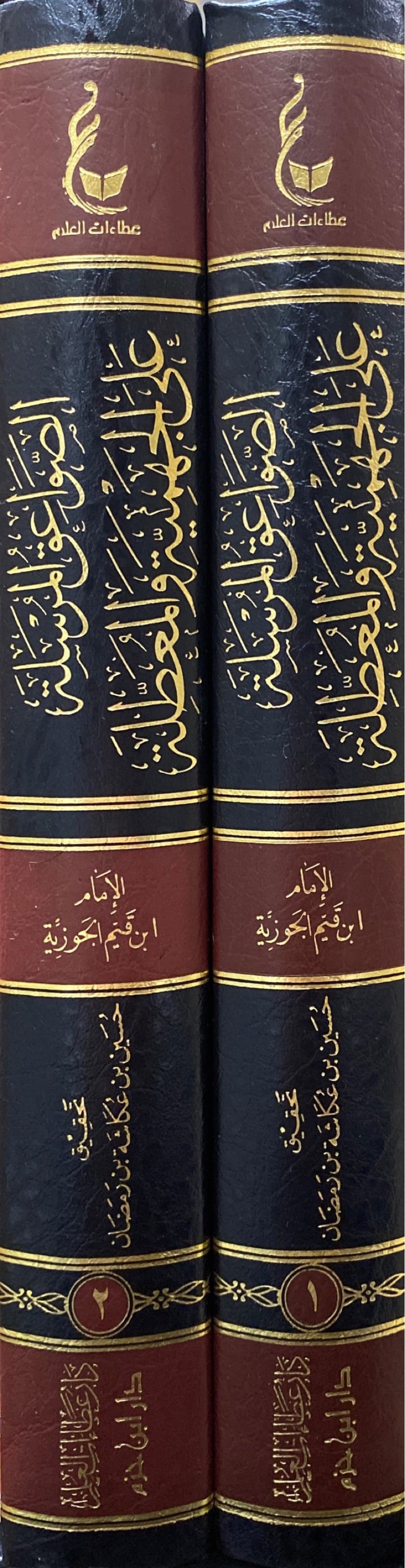 الصواعق المرسلة على الجهمية والمعطلة    As Sawaiq Al Mursalah (2 Vol)(Hazm)