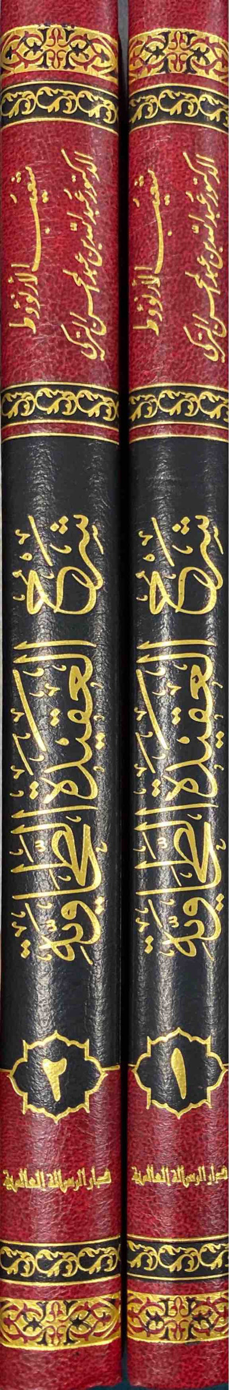 شرح العقيدة الطحاوية     Sharh Aqidatul Tahawiya (2 Volume Set)