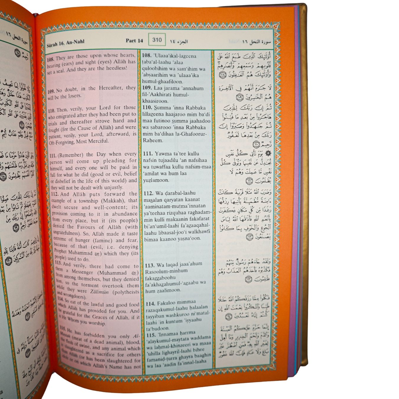 Text,　Islamic　and　Transliteration　Quran　Noble　Darussalam　–　Translation　Gold　Bookstore